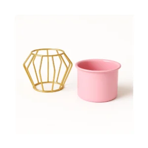 Modern Metal Planter Pot with Golden Stand (Pink)