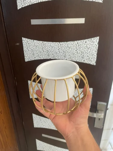 Round Metal Planter Pot with Golden Stand (White) photo review