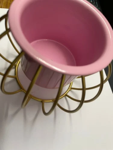 Round Metal Planter Pot with Golden Stand (Pink) photo review
