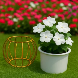 Modern Metal Planter Pot with Golden Stand (White)